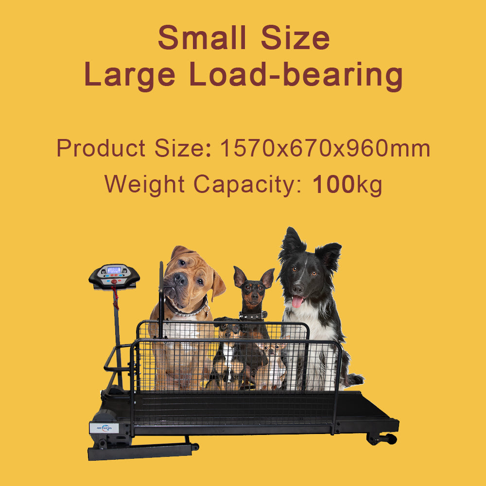 Media Large Dog Treadmill Doggie Petite Exercise Healthy Treadmills Melbourne Australia 380*1500mm